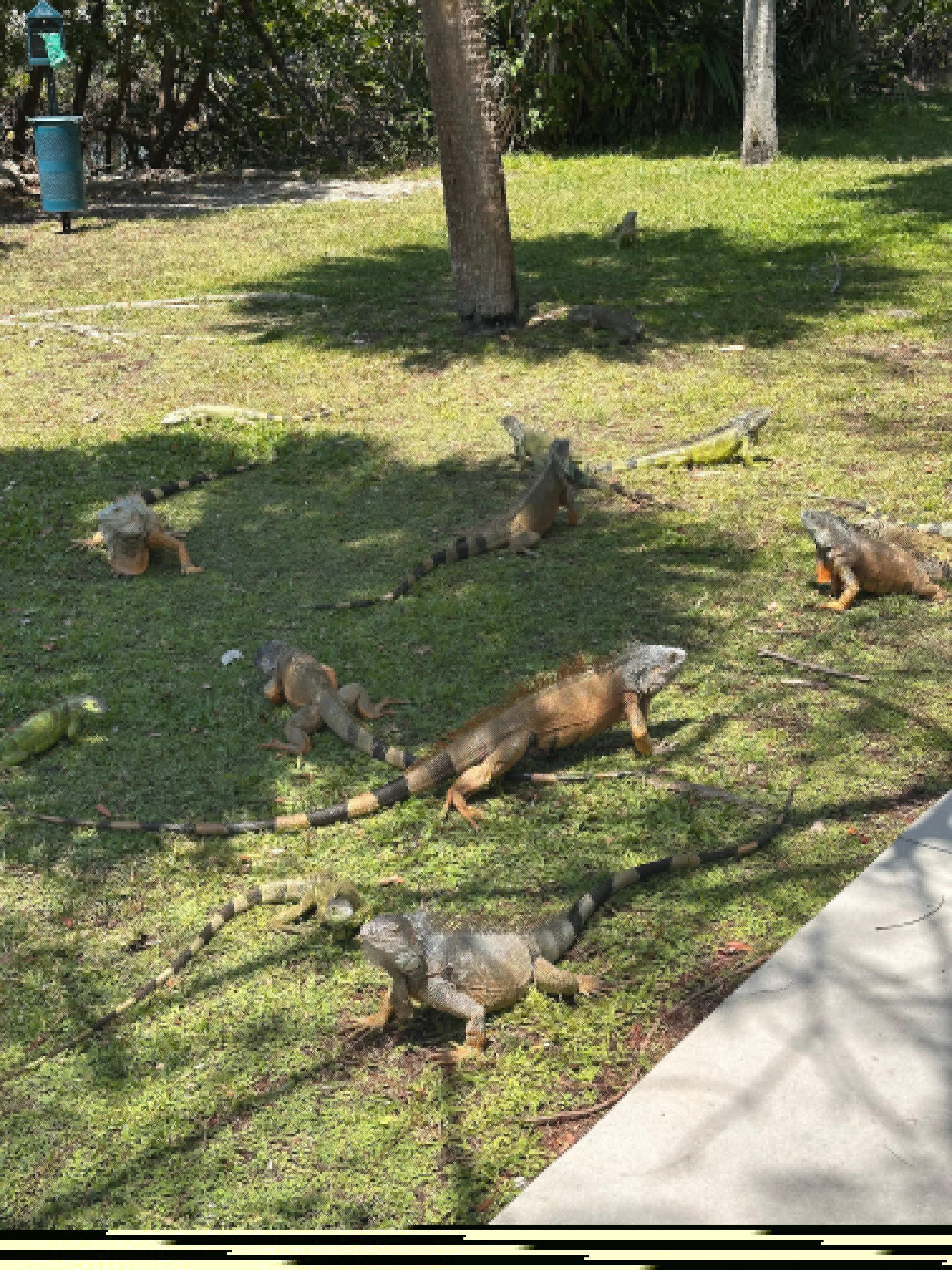 Cool wildlife 
