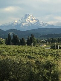 What a gorgeous view we got to enjoy while at Ziphaus in Hood River!