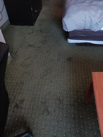 Floor
