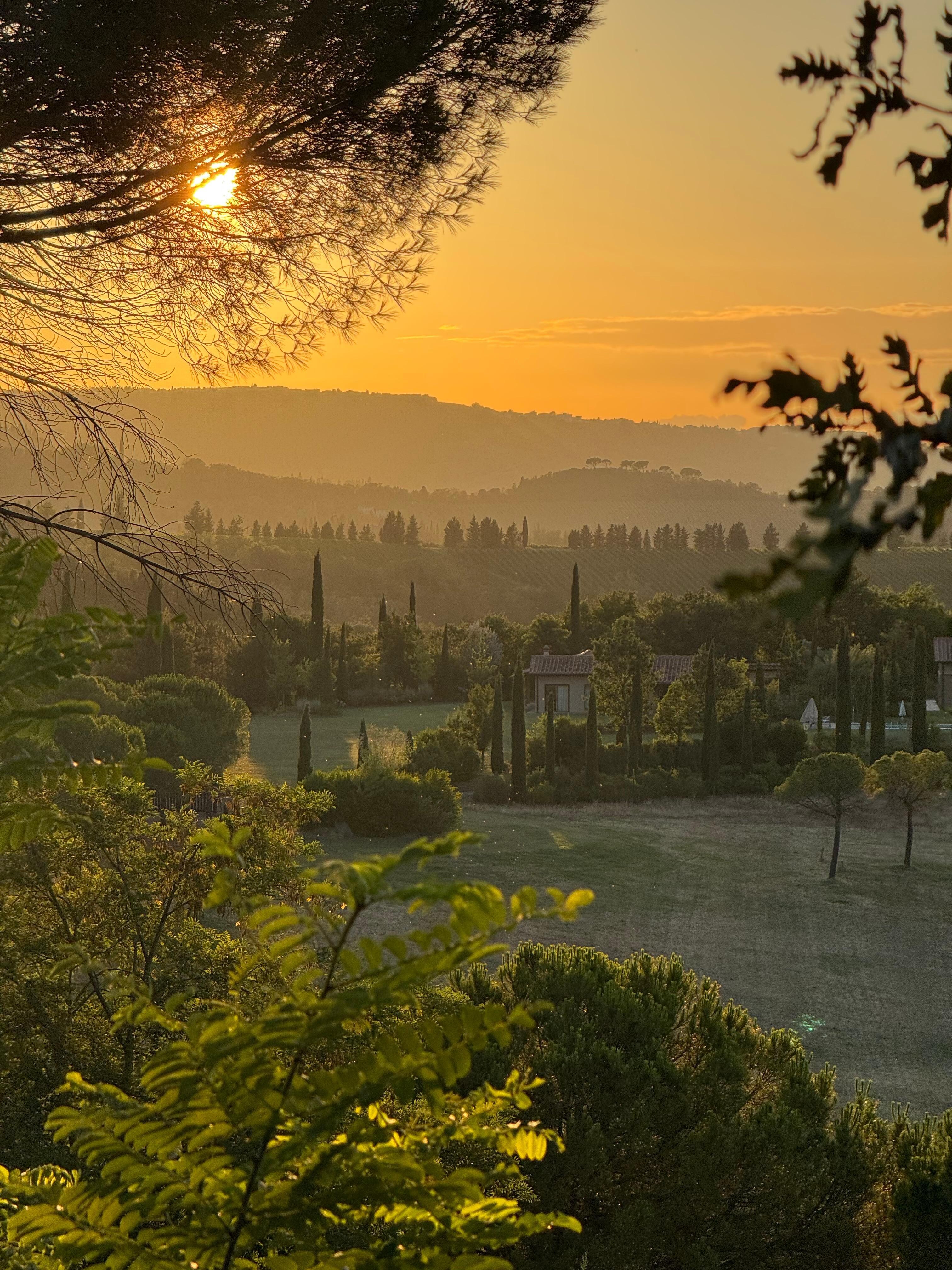 Tuscan countryside from the patio. 