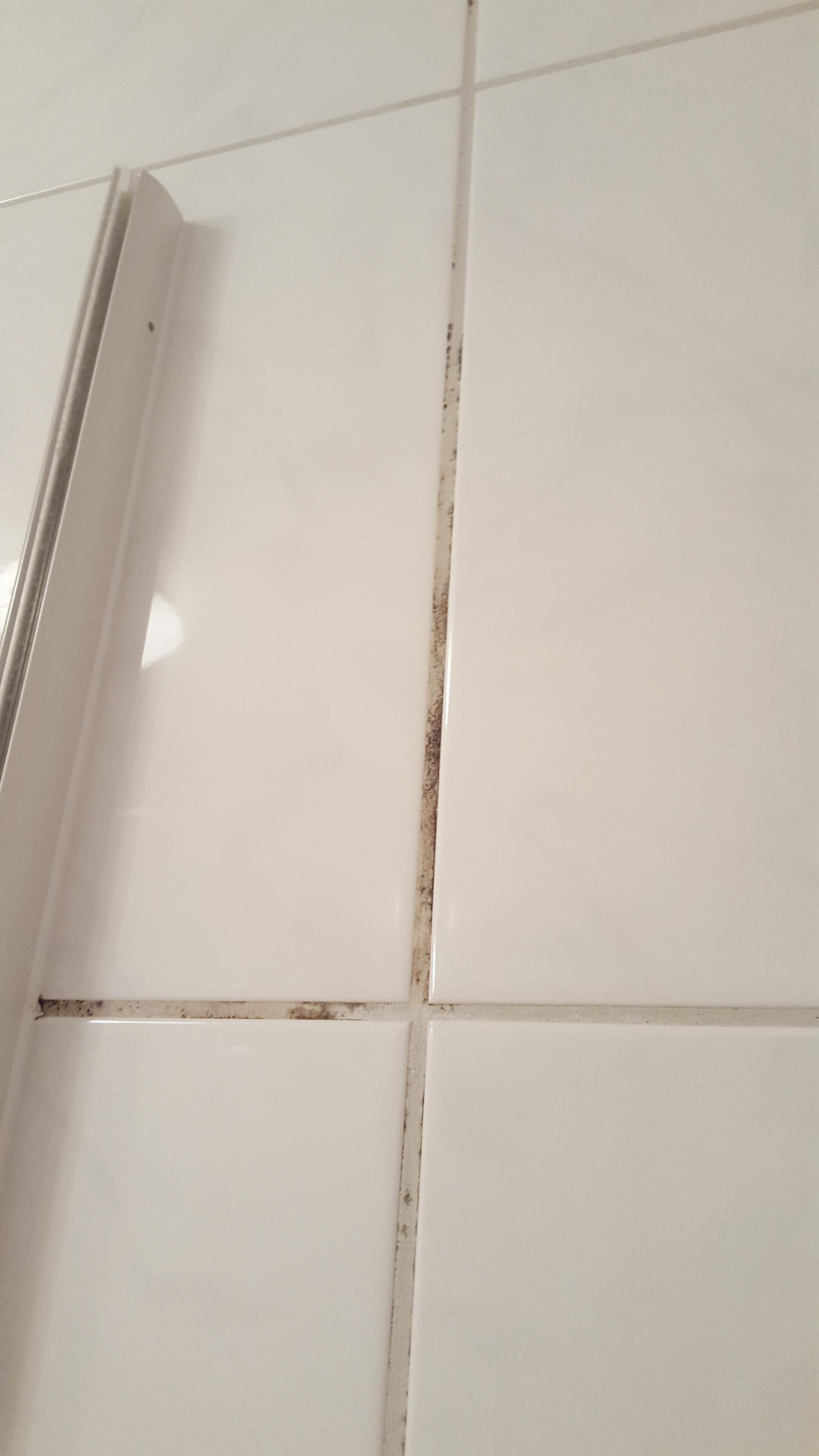 Schimmel in den Fugen