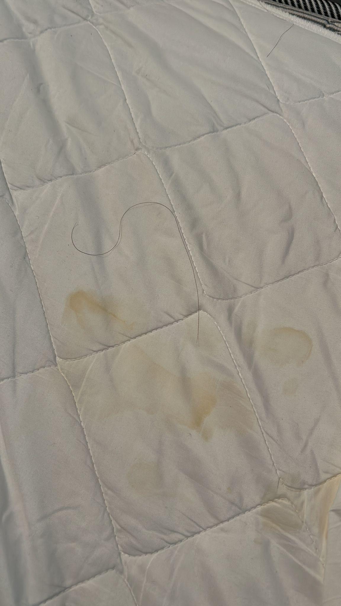 bedsheet appeared stained and there was hair beneath the sheet