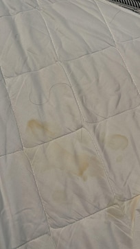 bedsheet appeared stained and there was hair beneath the sheet