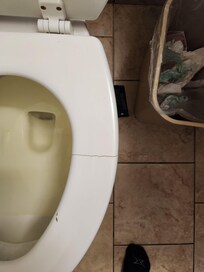 Toilet seat brooke management did nothing after we told them