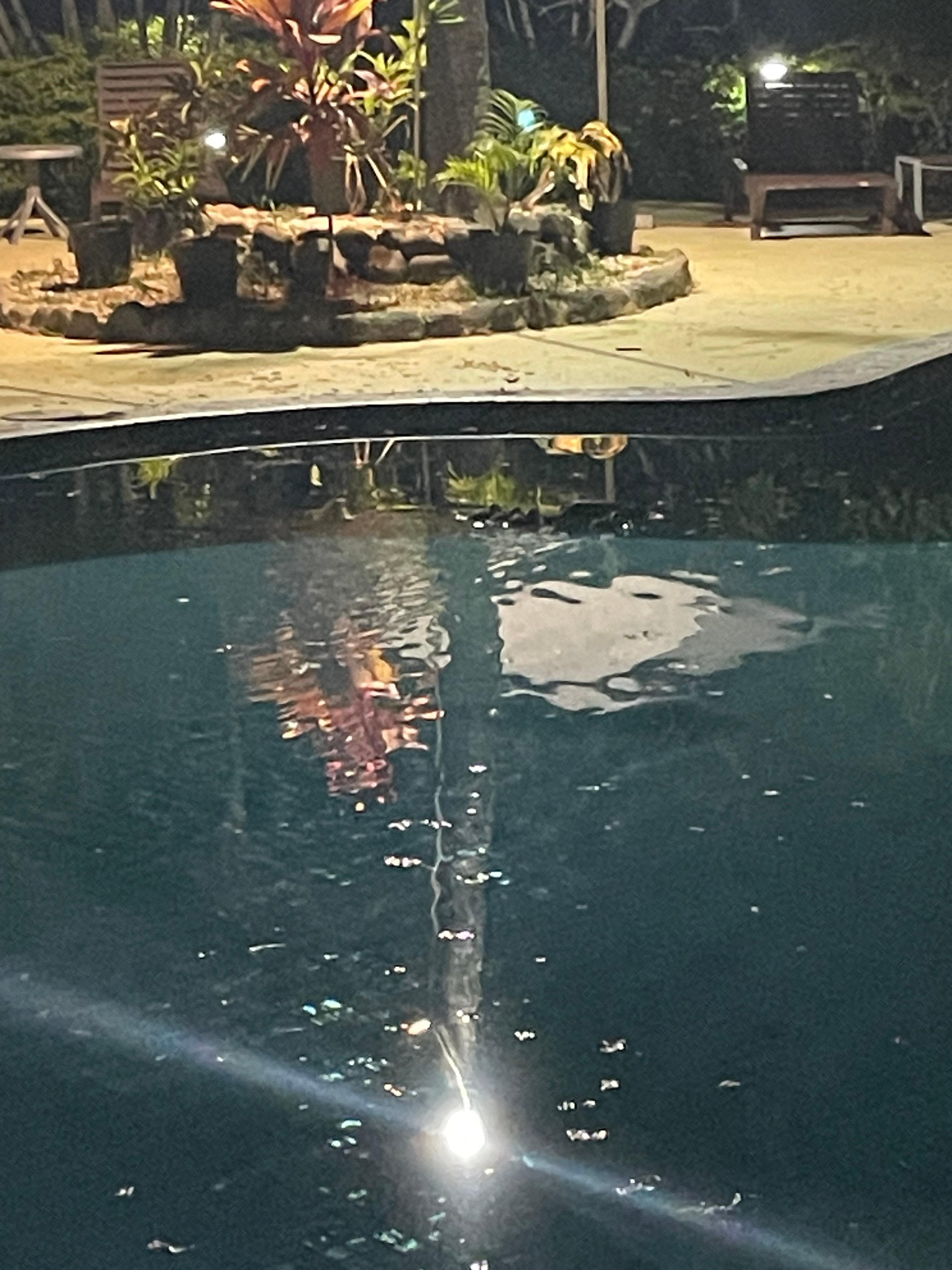 Pool in the evening 