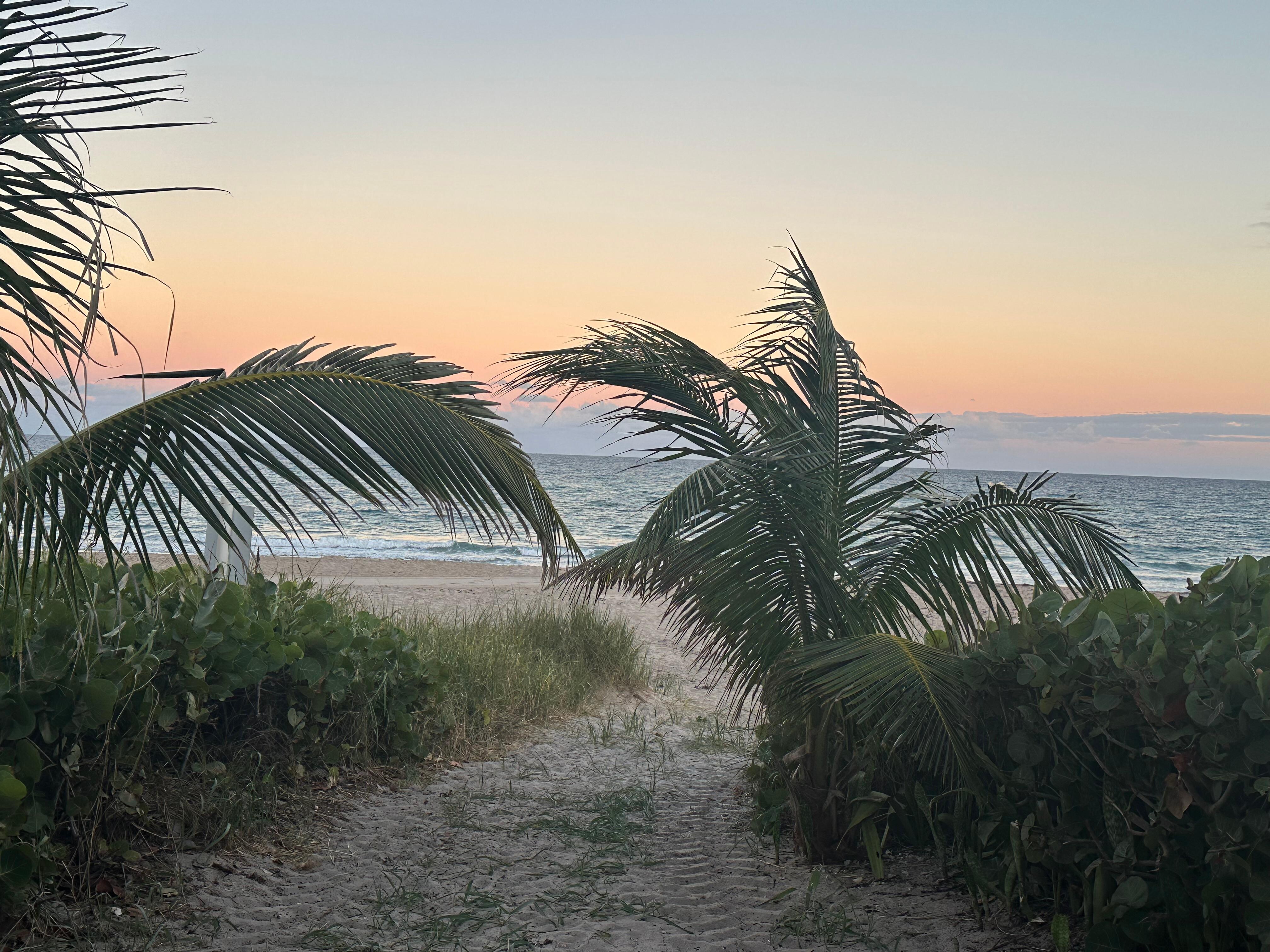 Walked to the beach every morning 