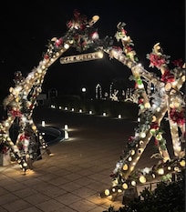 Winter lights in November on the grounds.