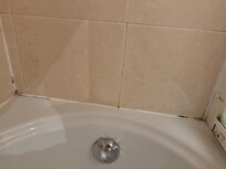 Balck mold in the tub