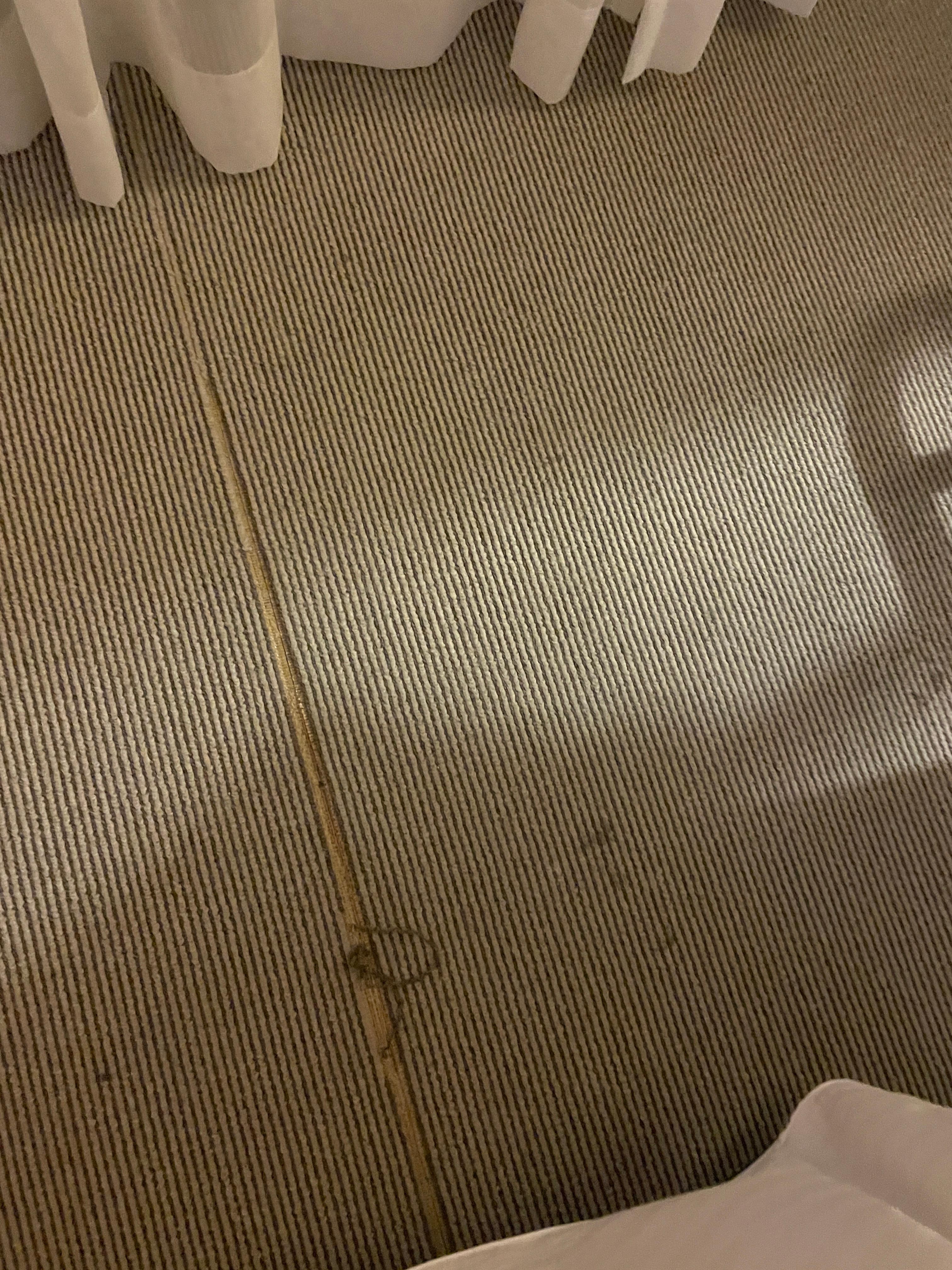 Carpet join that is coming apart