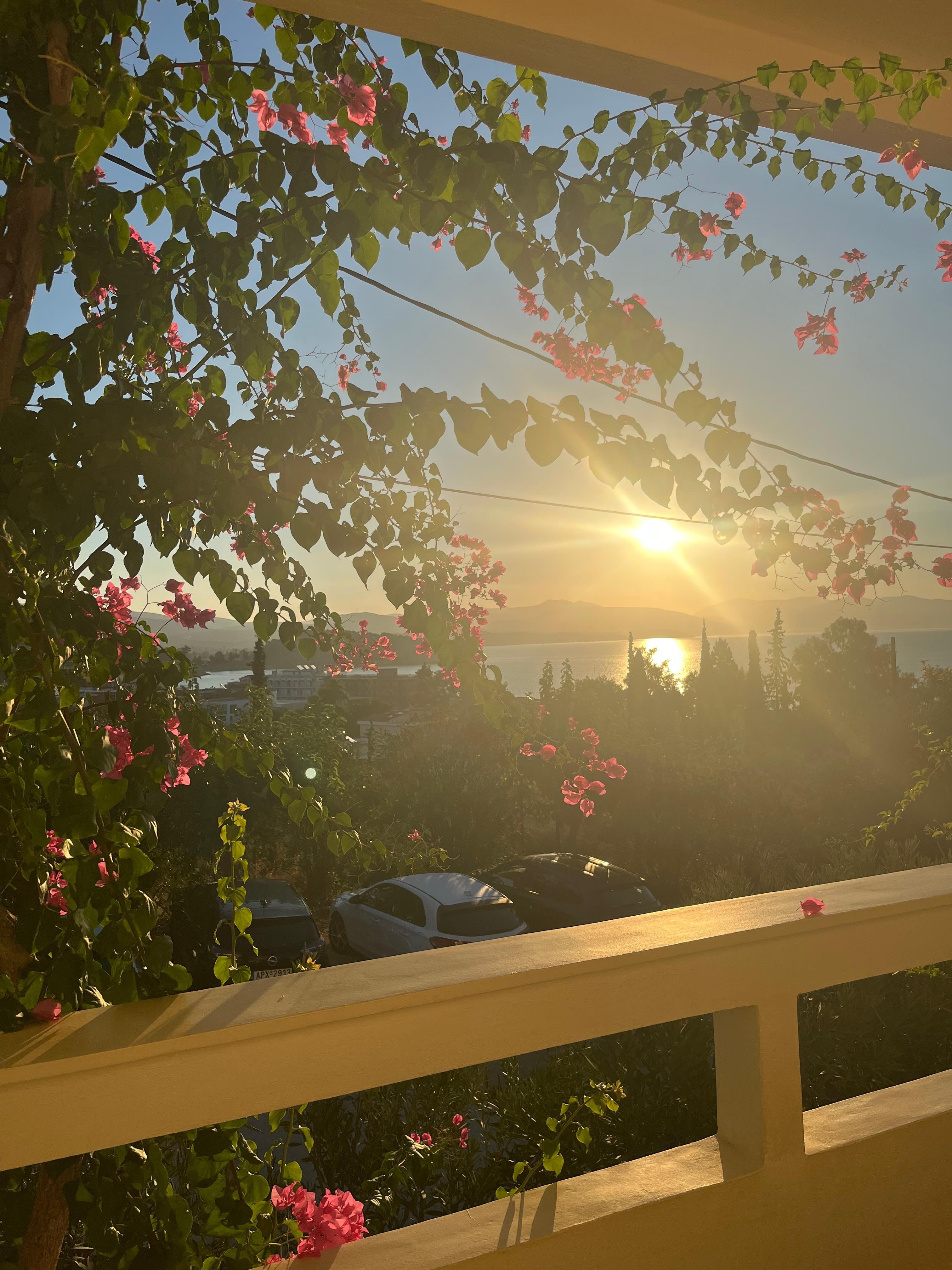 Vue depuis le balcon de la chambre