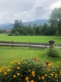 Vue de la terrasse