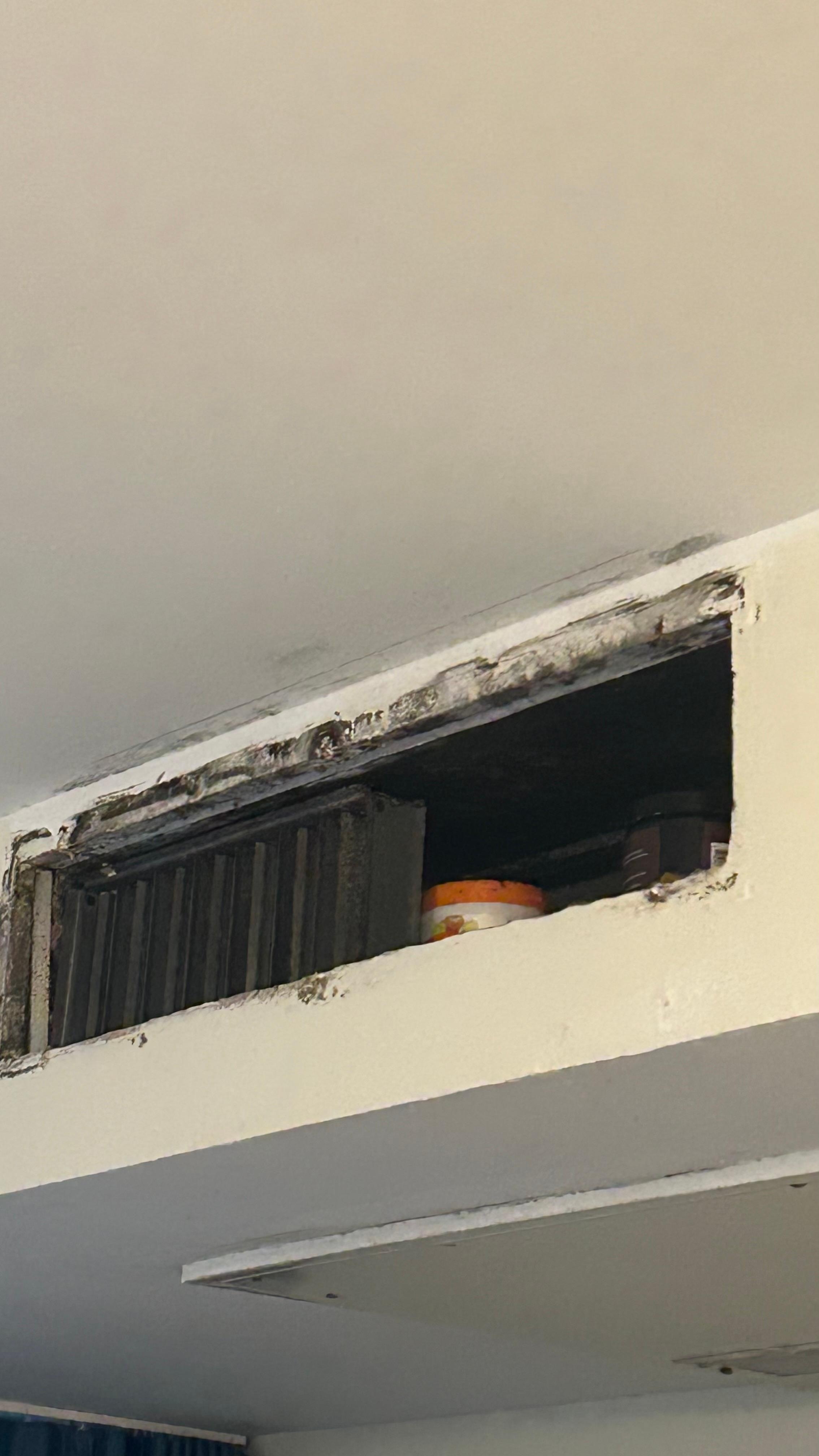 Cans of air freshener to hide the mold