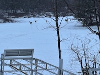 Great views of lake out of back windows in living/dining area