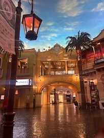 The Quarter
