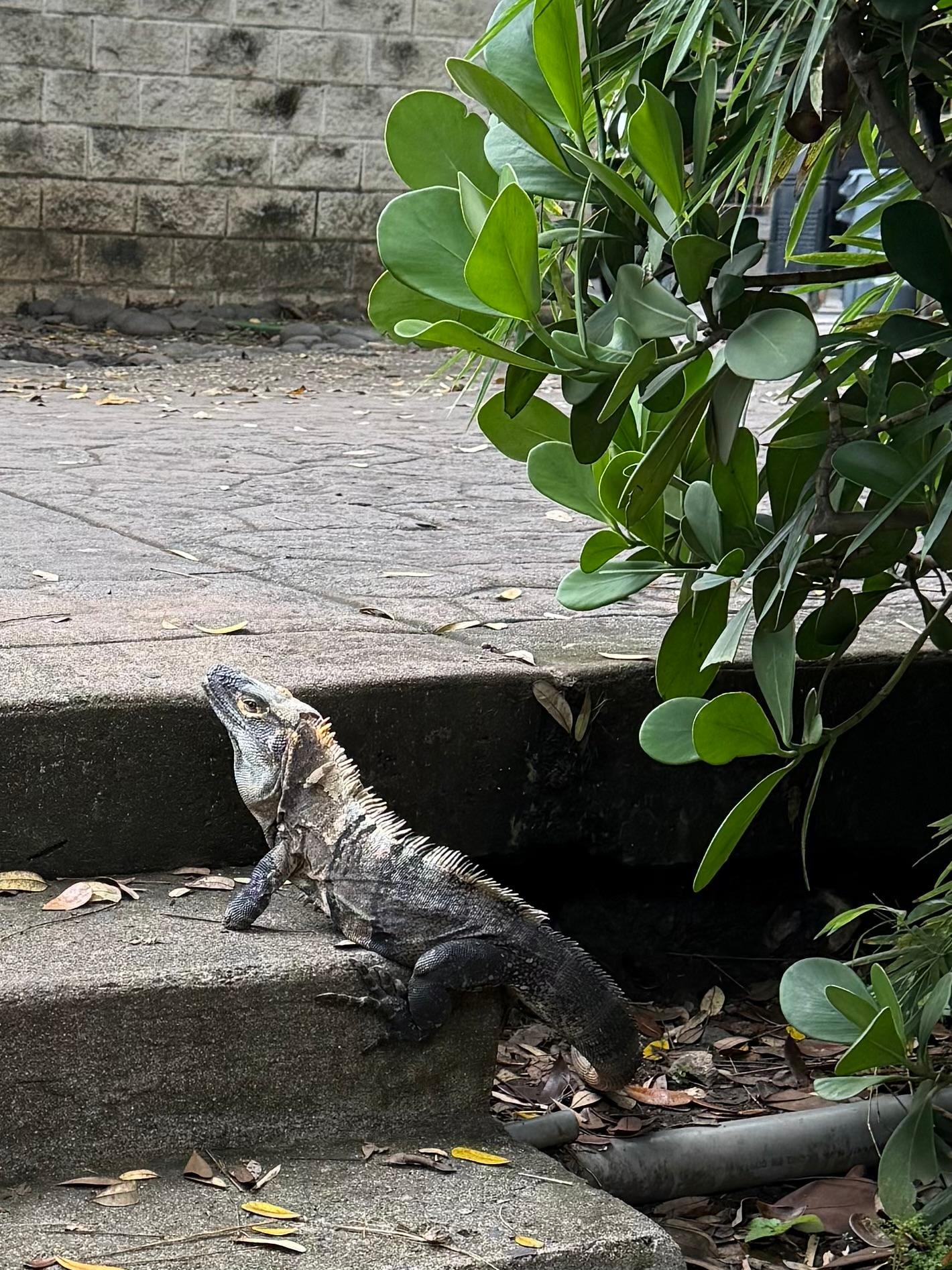 Wildlife everywhere!