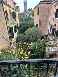 View of private courtyard