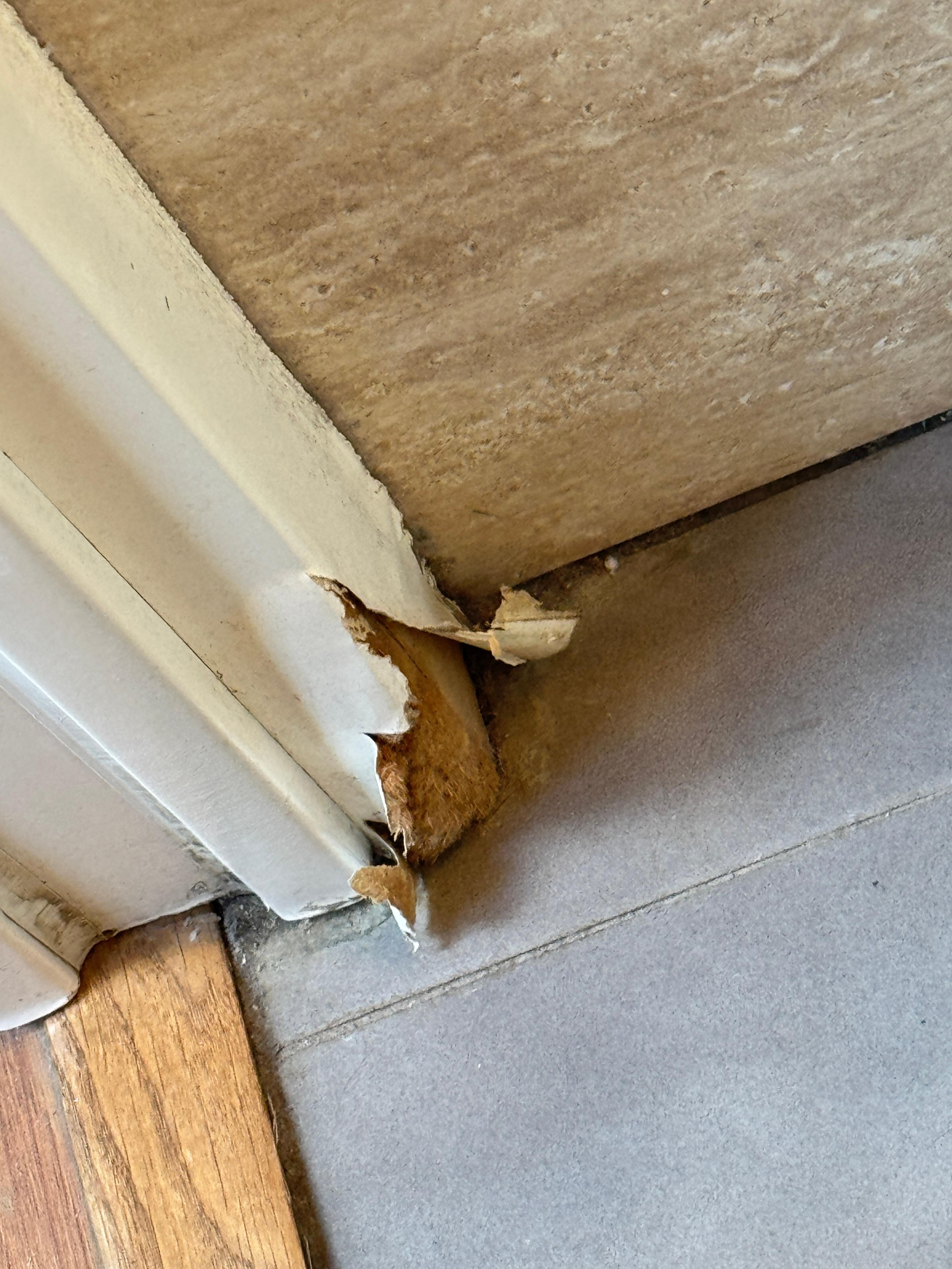 Wasserschaden Türrahmen zum Badezimmer 