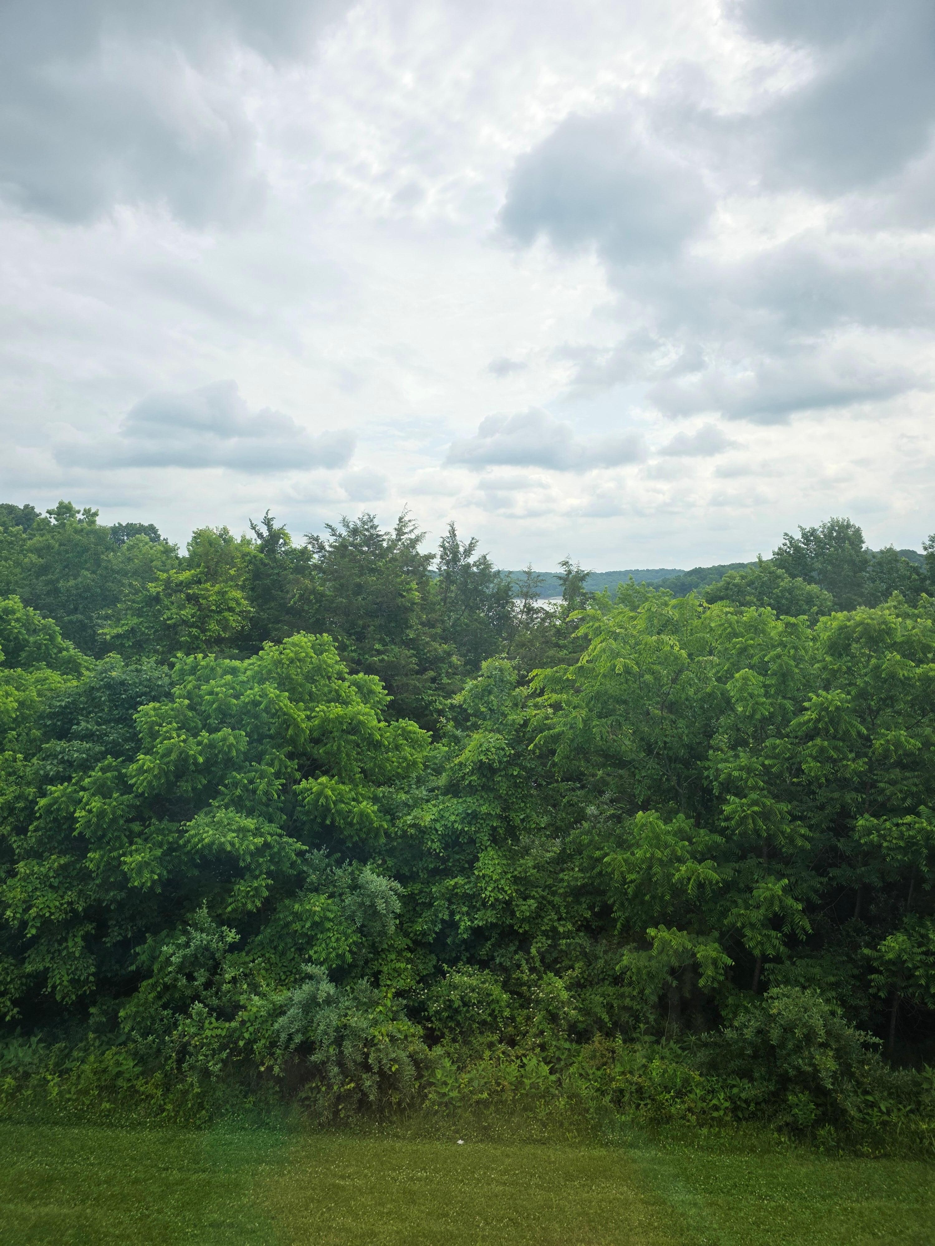 Back porch view