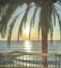 Exceptional balcony view. Palm trees give it an exotic feel.