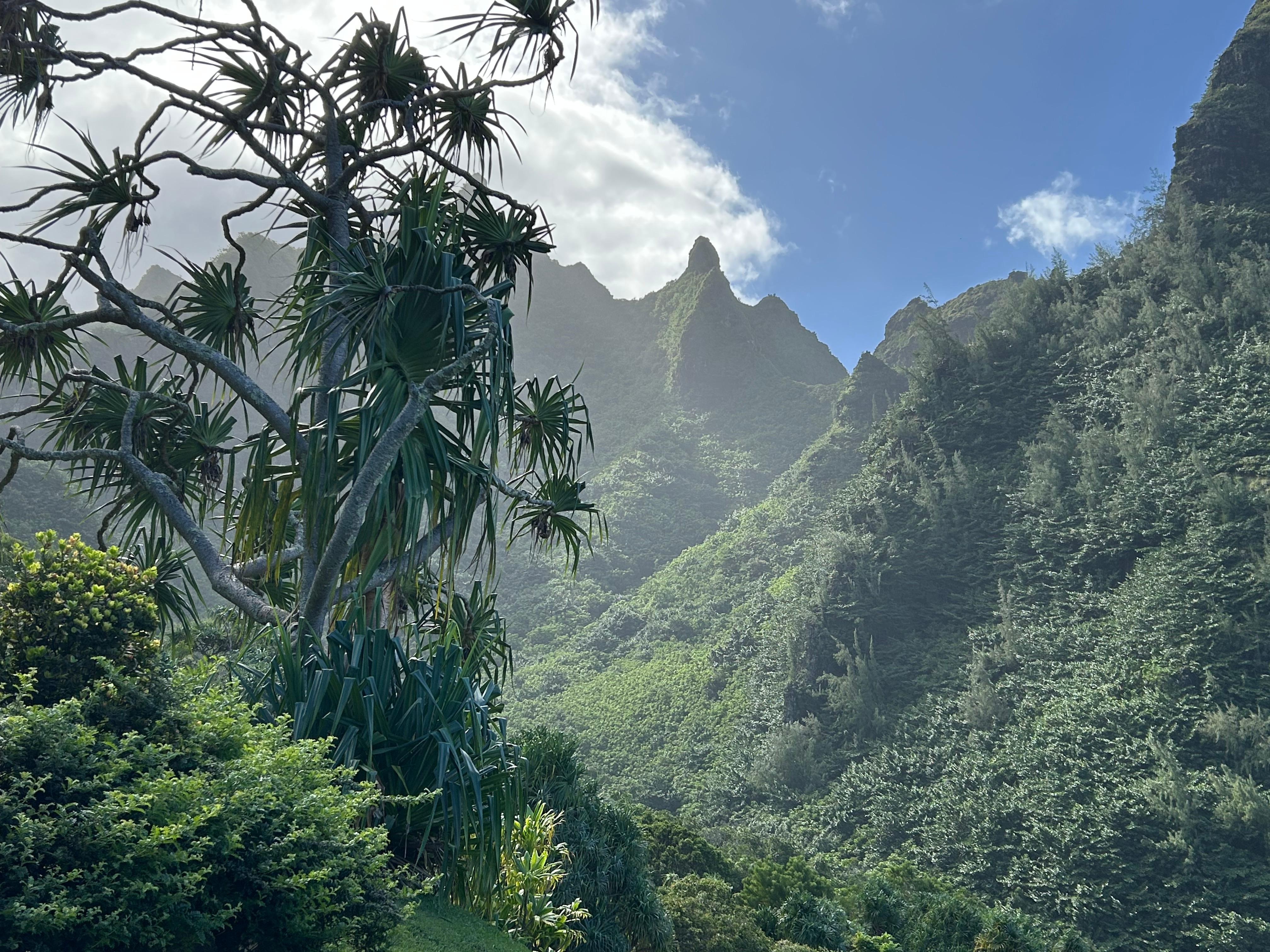 Touring Lamihuli Garden and Preserve