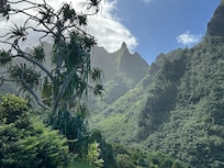 Touring Lamihuli Garden and Preserve