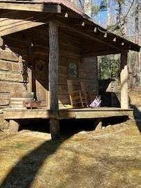 Our Frenchie enjoying the sunshine!