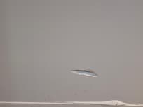 Wall behind front door