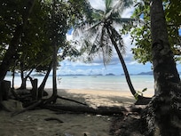 The view from the bar