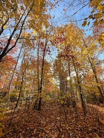 Gorgeous fall colors taken from a walk around the property