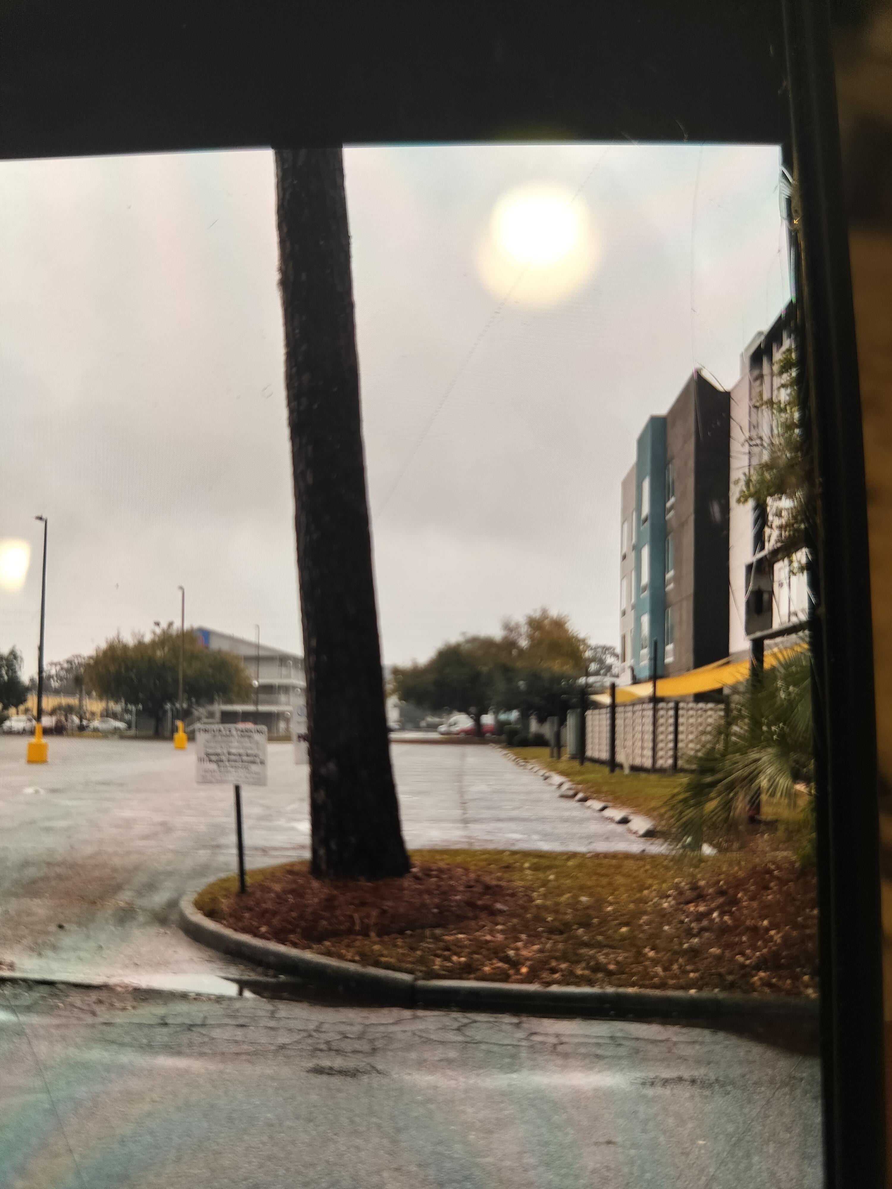  parking was not available in the front of the building after 10 minutes of looking we parked and back directly adjacent to the building pictured. The only signs  posted not to Park are partially obstructed by a tree trunk. Hilton has no signs.