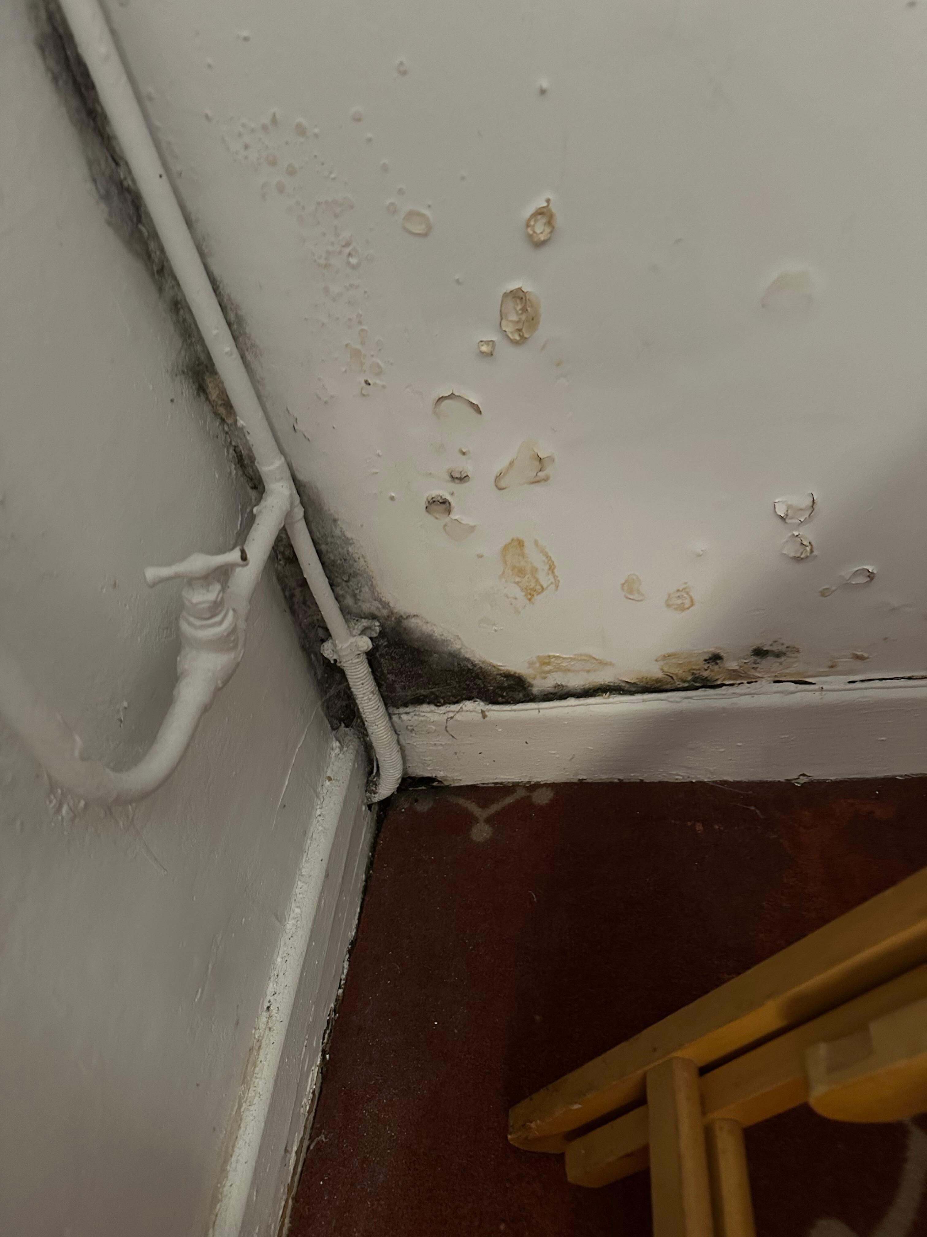 Mold
