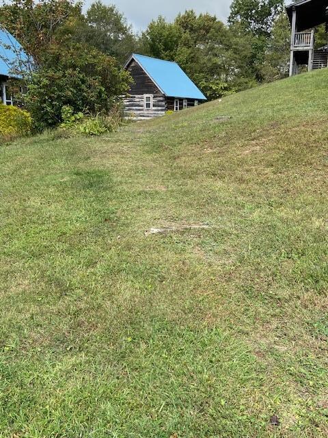 The path that looks to have been made to walk to the house.