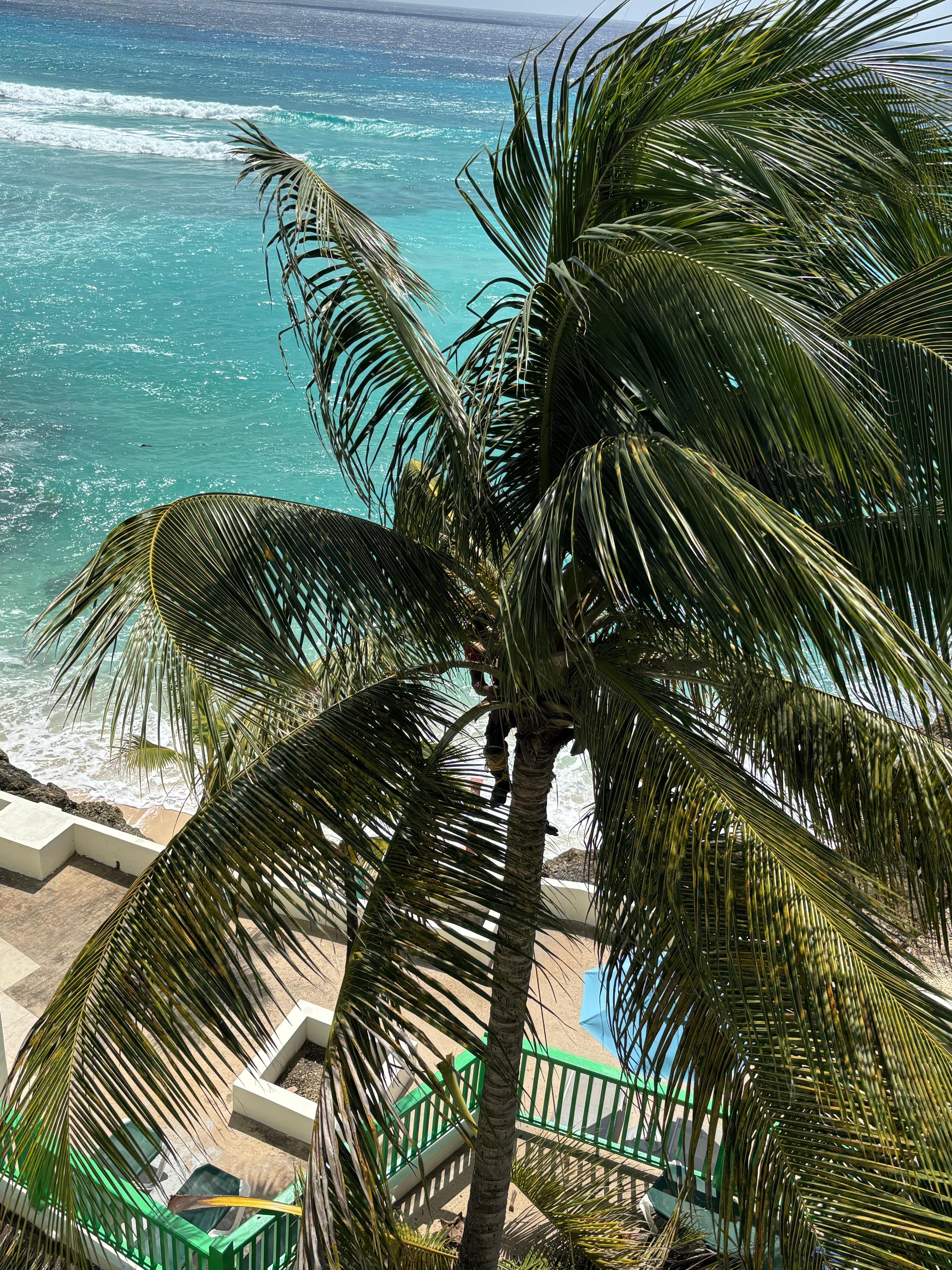 From our balcony with the beach view