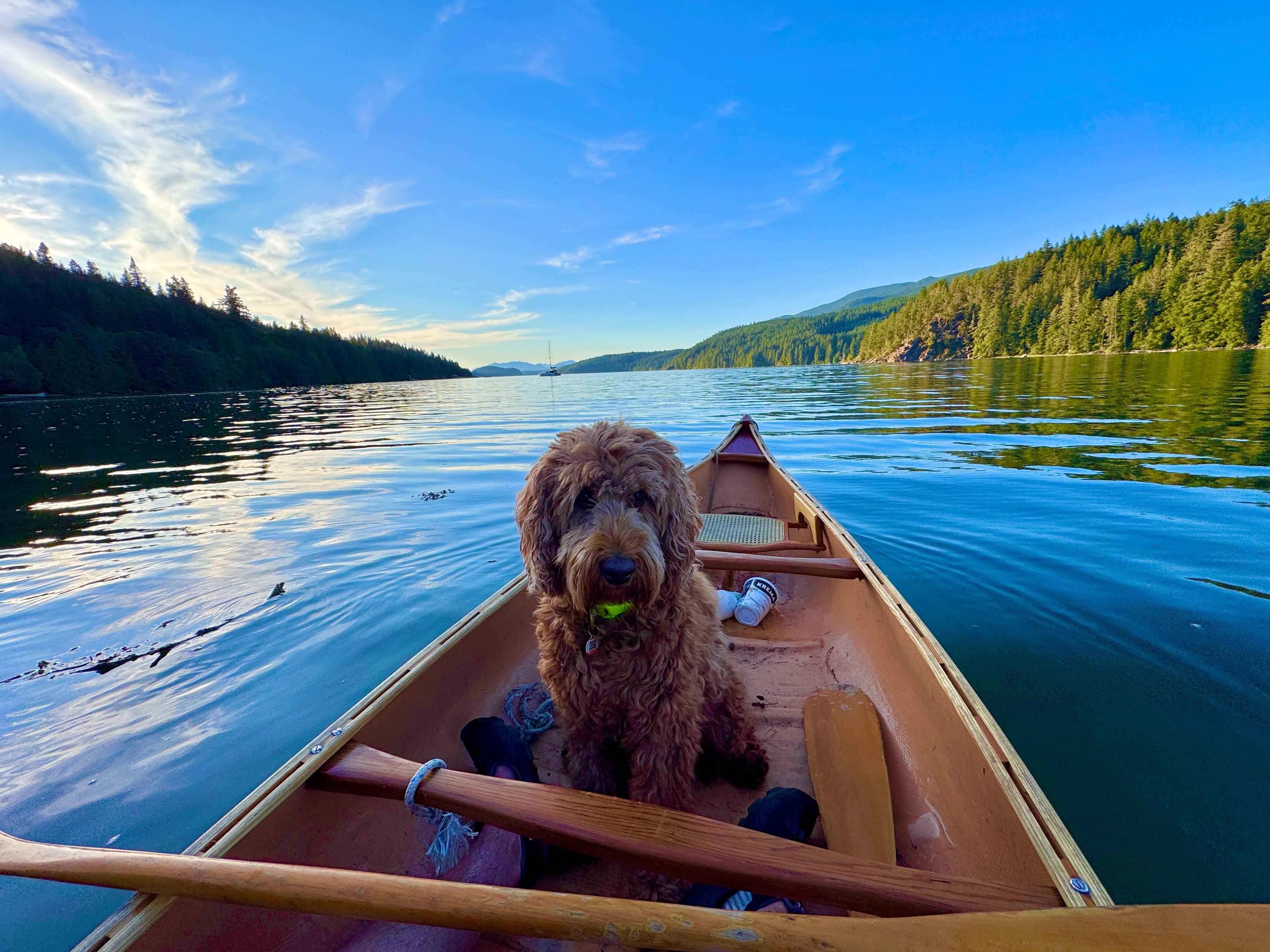 So nice they let you use the canoe! My dog was nervous at first but quickly relaxed and enjoyed it.