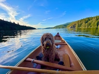 So nice they let you use the canoe! My dog was nervous at first but quickly relaxed and enjoyed it.