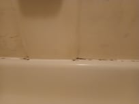 Black mold