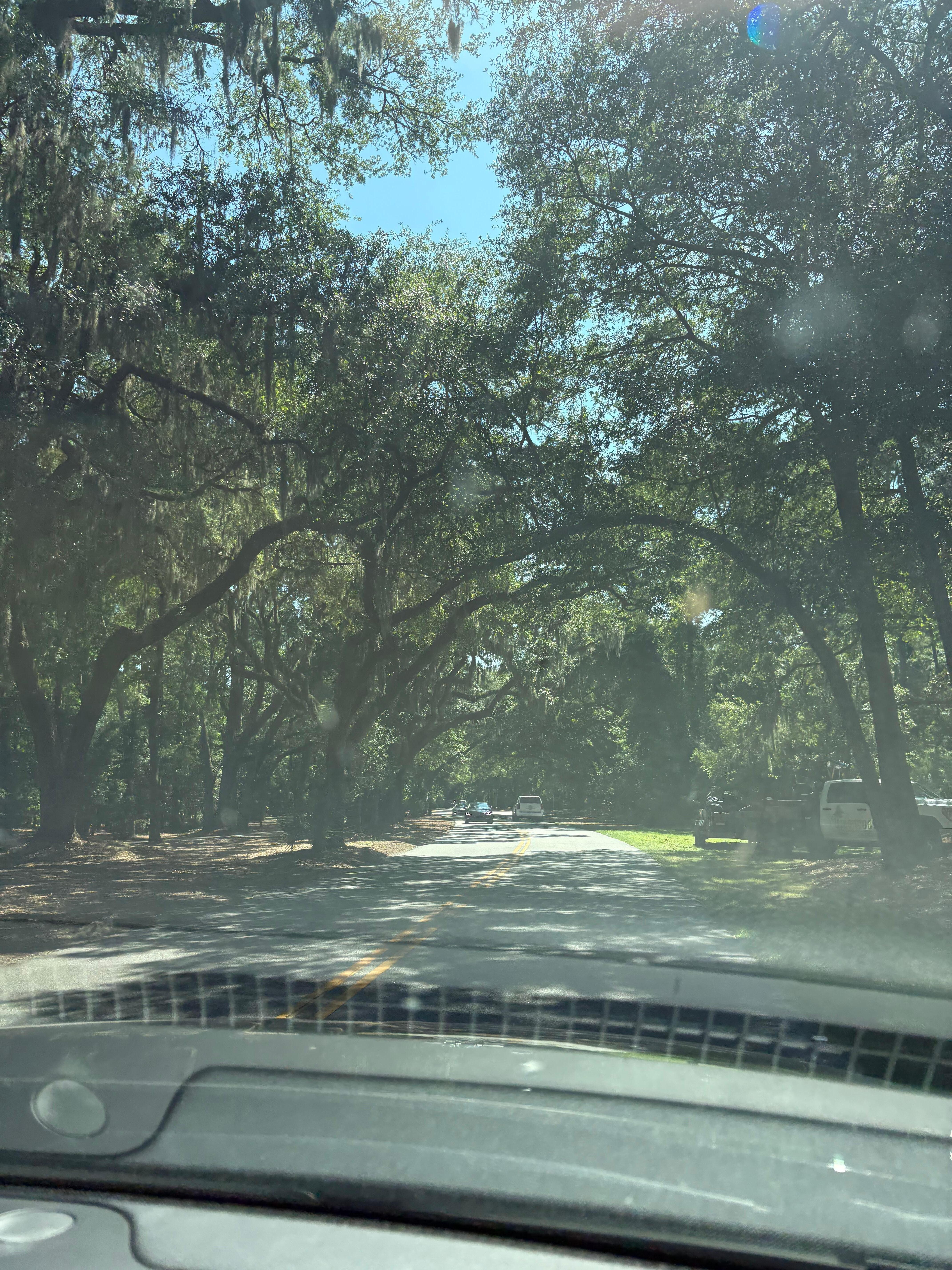 Favorite road in the USA.