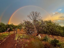 Rainbow Paradise!