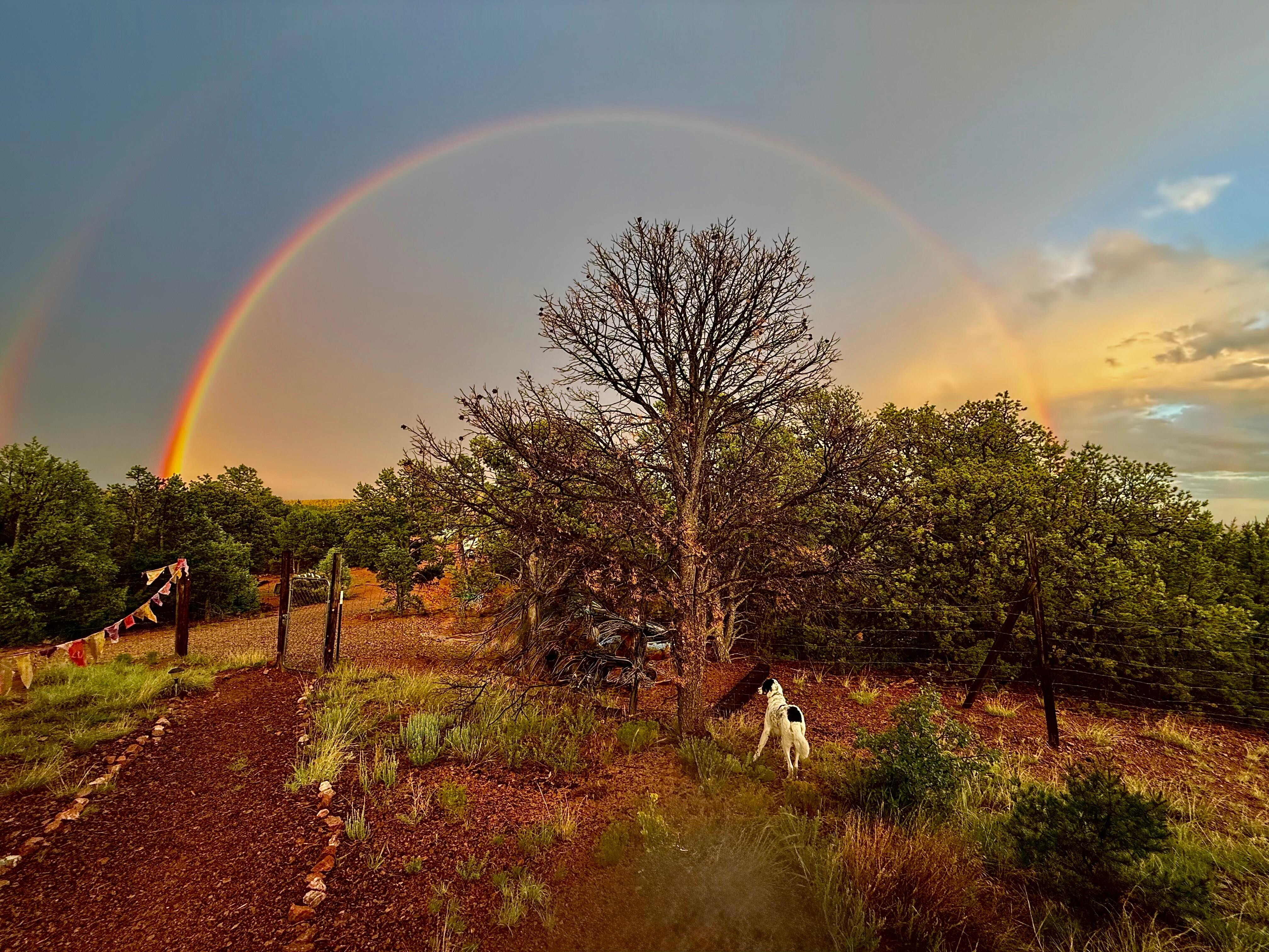 Rainbow Paradise!