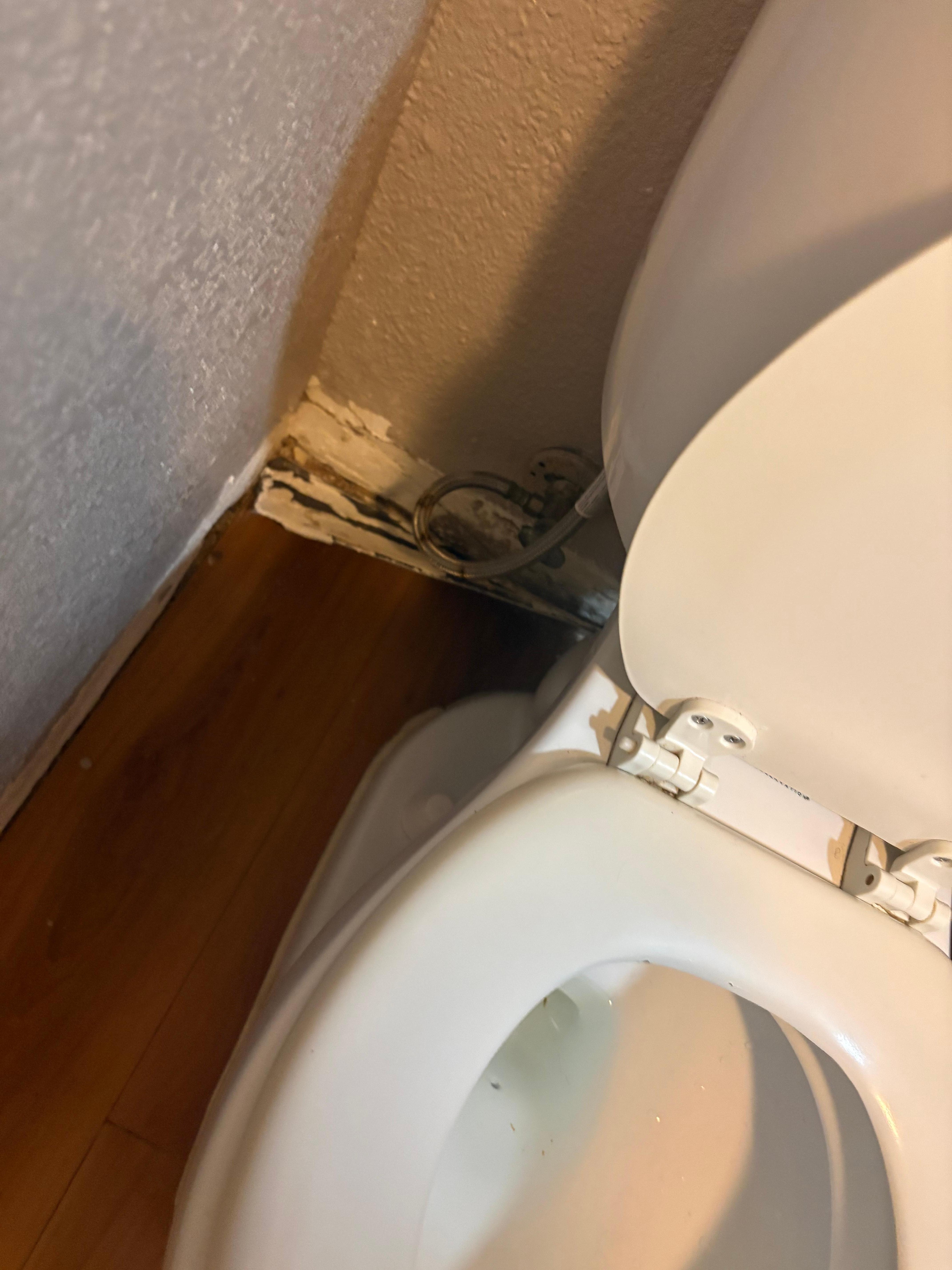 The other part of the wall was falling off and the toliet didn’t flush had to plunge it 