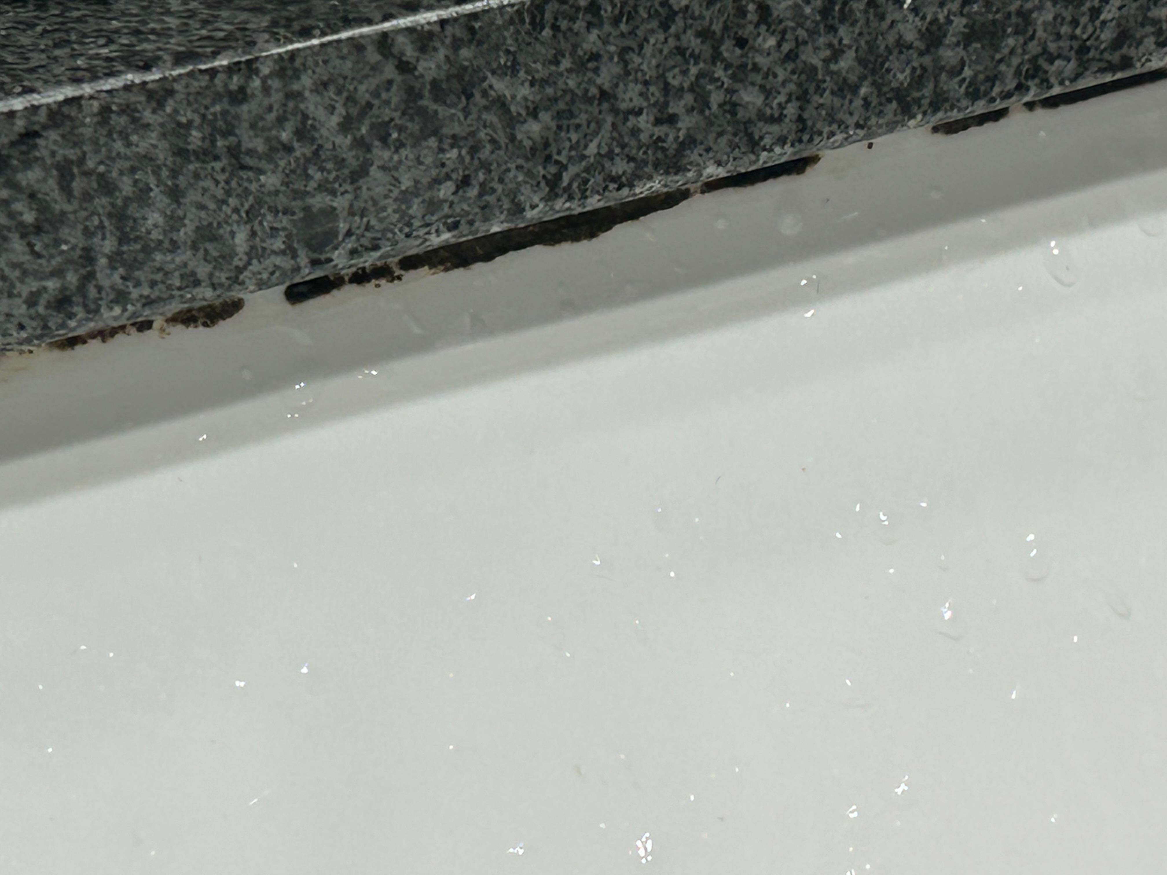 Mold under the rim of the sink