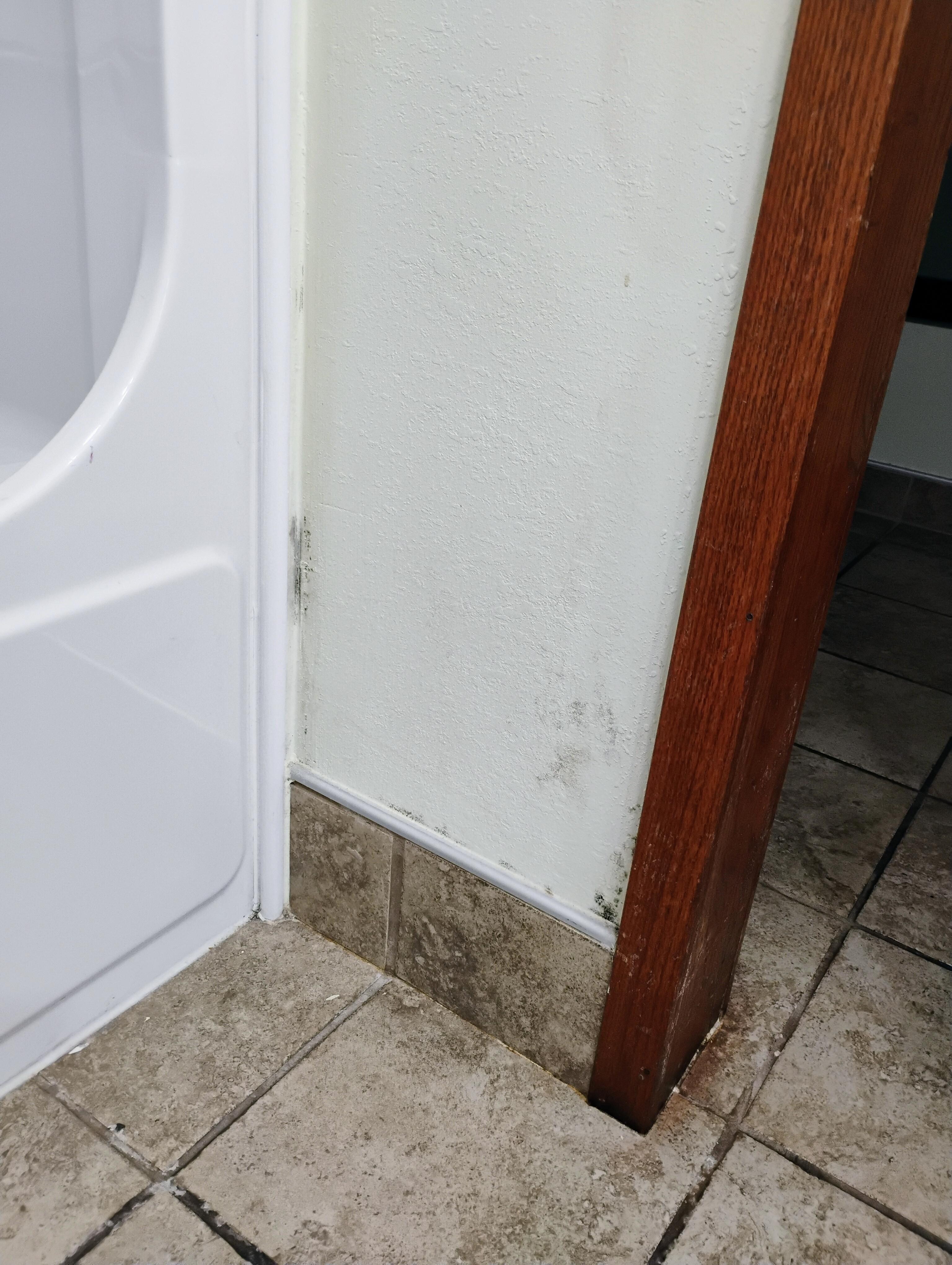 Mold
