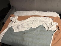 Disgusting sofa bed mattress and linens