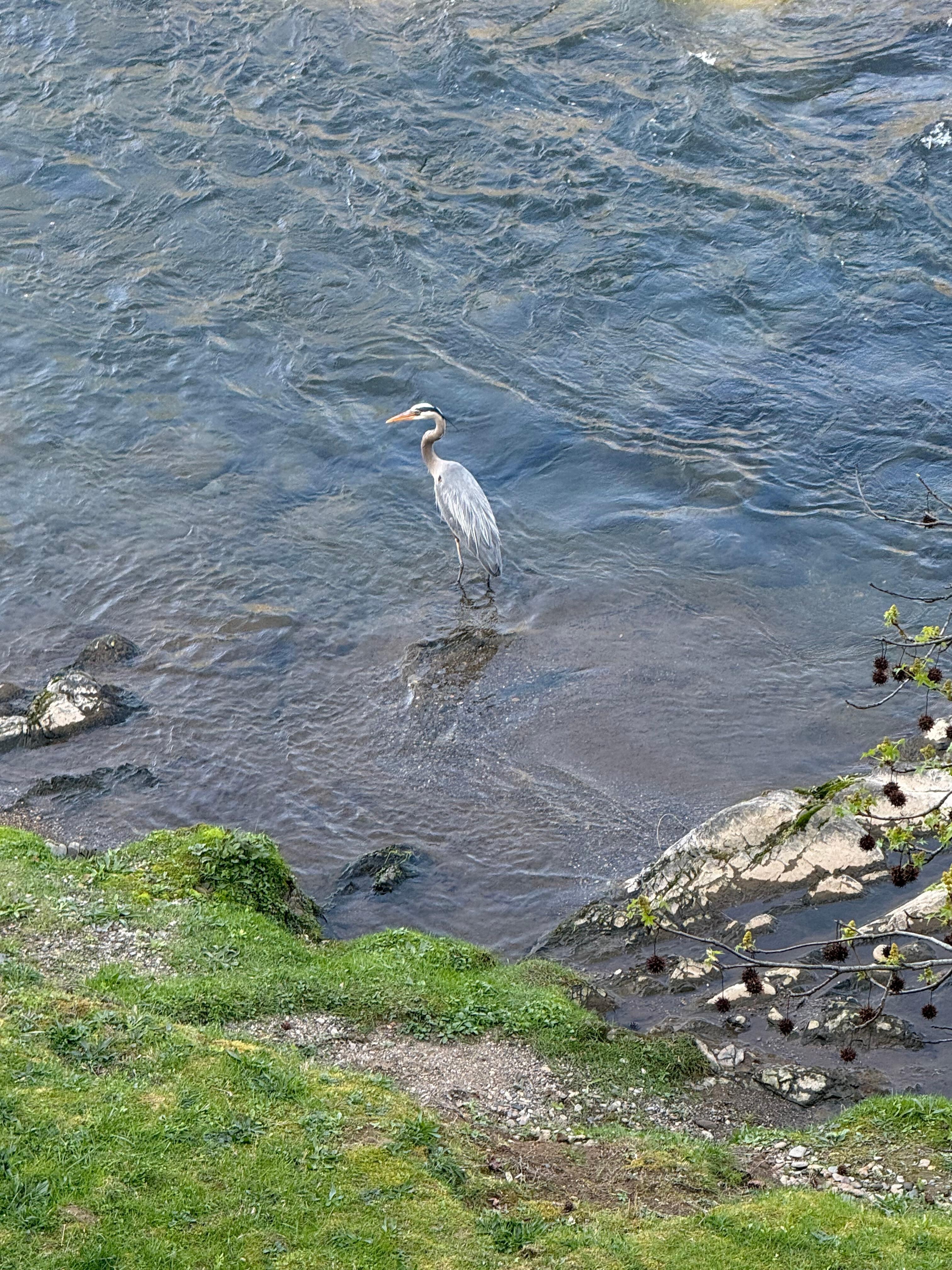 View from the balcony 