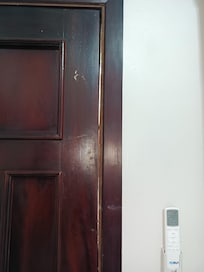 Door opening that let all the mostitos in .