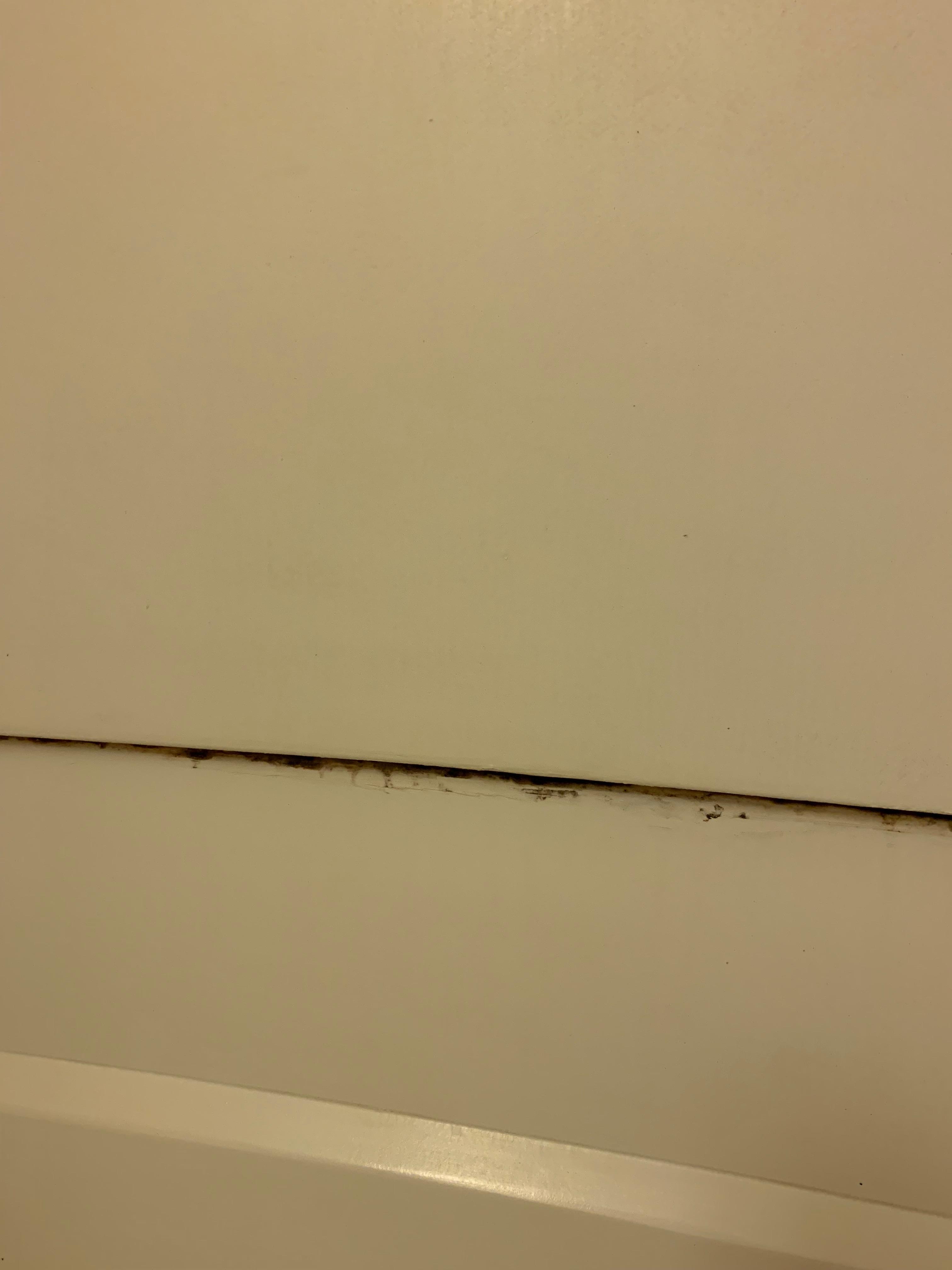 Visible black mold and soap scum
