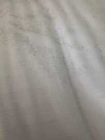 Moldy bedseets