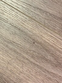 Another ant in the second room