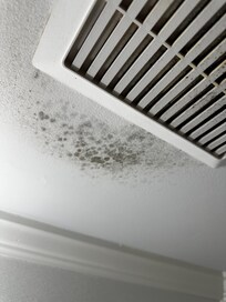 Mold in bathroom