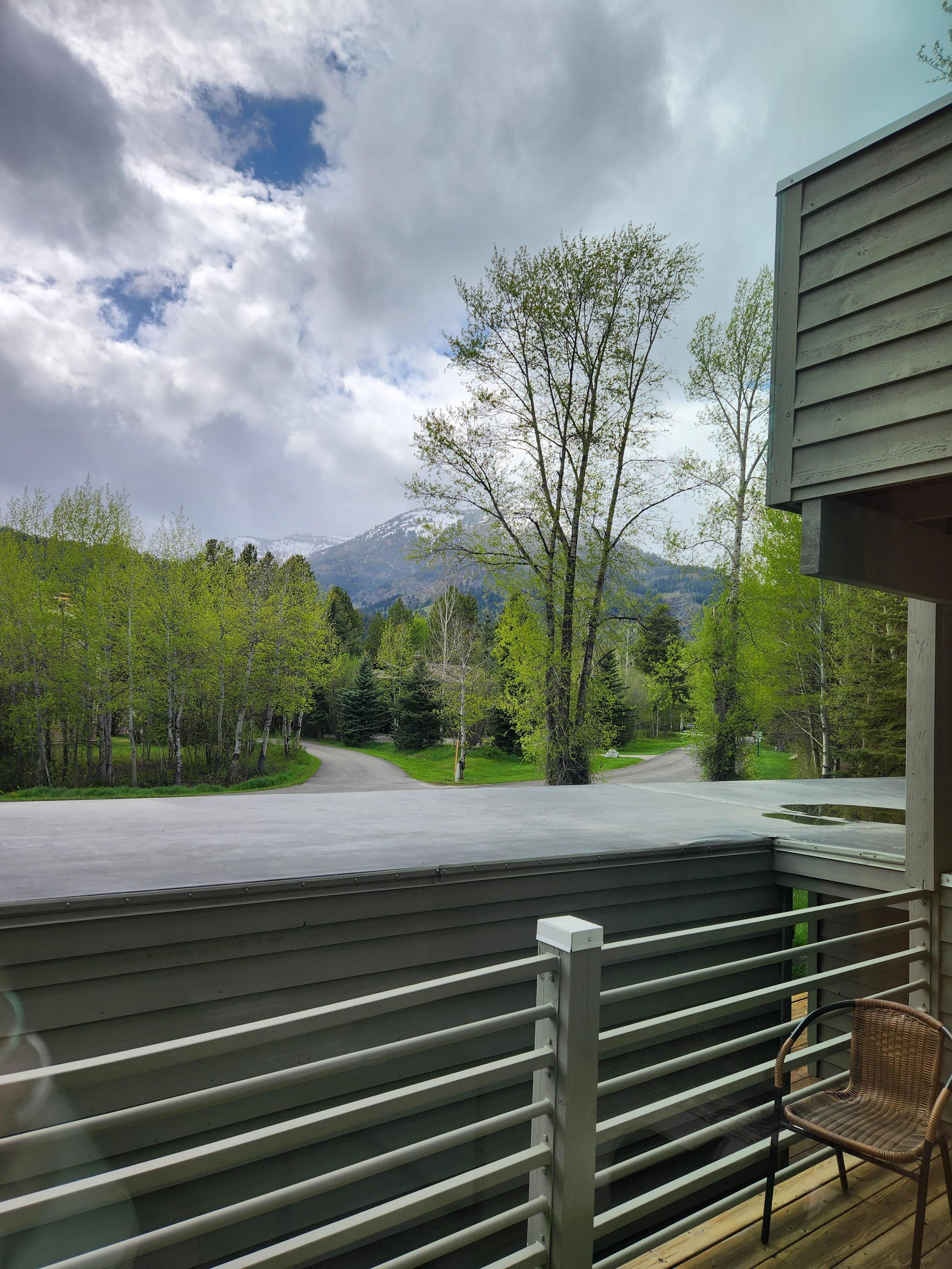 Front porch view